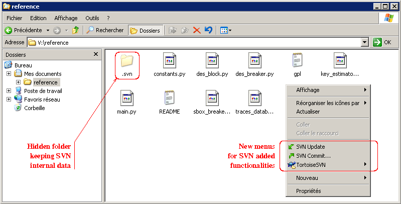 Playing with SVN commands under TortoiseSVN